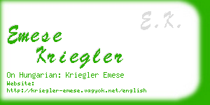 emese kriegler business card